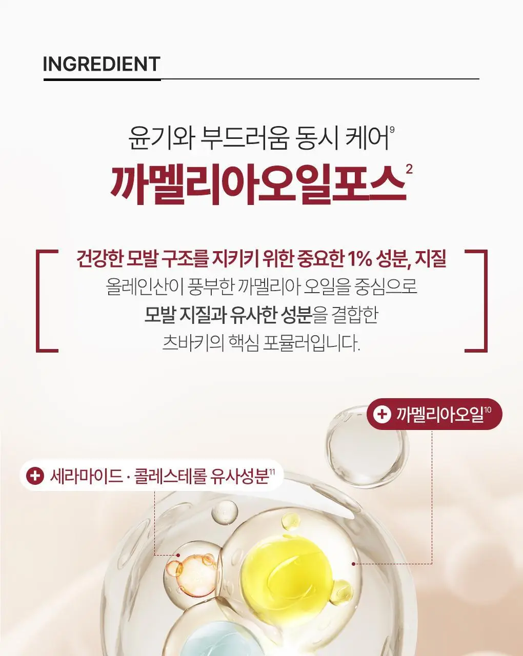 [수분&윤기케어] 츠바키 프리미엄 모이스트 & 리페어 트리트먼트 160g 상세페이지 16